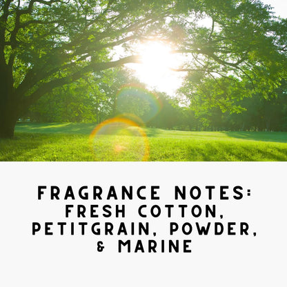 Home “REFRESH” Carpet Deodorizer Powder – Natural Odor Eliminator for Carpets, Upholstery, Pet Urine, Dog Beds & Cat Litter Boxes – Pet-Friendly – Country Potpourri Scent(2 Pack)