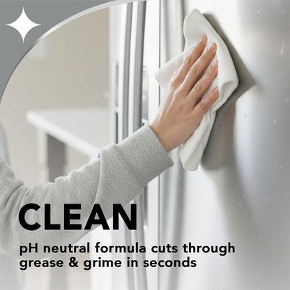 Weiman Stainless Steel Cleaner & Polish, 2 Pack Aerosol, Anti Fingerprint Spray Stainless Steel Cloth, Water Spots & Grease, No Streaks or Residue, Safe for Metal Polish, Chrome, Appliances & Sinks