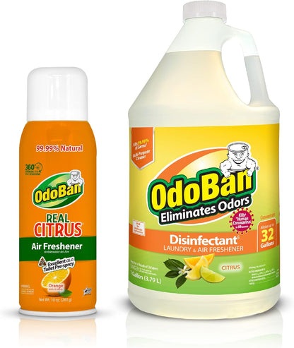 OdoBan 360-Degree Continuous Spray Natural Oil Real Citrus Orange Air Freshener, 10 Ounce, and Multipurpose Disinfectant Cleaner, 32 Ounce Spray, Made in the USA