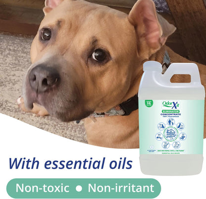 Pet Urine Odor Eliminator Spray, Ideal for Cat, Dog Poo and Urine Smell, Versatile & Natural Odor Neutralizer for Home and Outdoor Use, Ready to Use, 16oz
