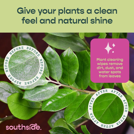 Plant Cleaning Wipes by Southside Plants - Gentle, Plant-Based Wipes for Shiny Leaves and Better Photosynthesis - Unscented, Extra Thick Waffle Weave Leaf Wipe for Indoor & Outdoor Plants - 80 Ct