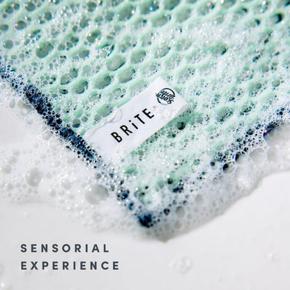 Brite by Scotch-Brite Limited Edition 4-Piece Scrub and Wipe Collection with 1 Rich-Foaming Dish Scrubber, 1 Quick-Dry Mesh Scrubber, and 2 Reusable Sponge Cloths
