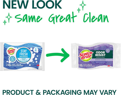 Scotch-Brite Odor Resist Heavy Duty Scrub Sponge, Dishwasher-Safe Kitchen sponges for Serious Scrubbing, Multipurpose Dish Sponge for Stuck-On Messes, 3 Scrubbing Sponges