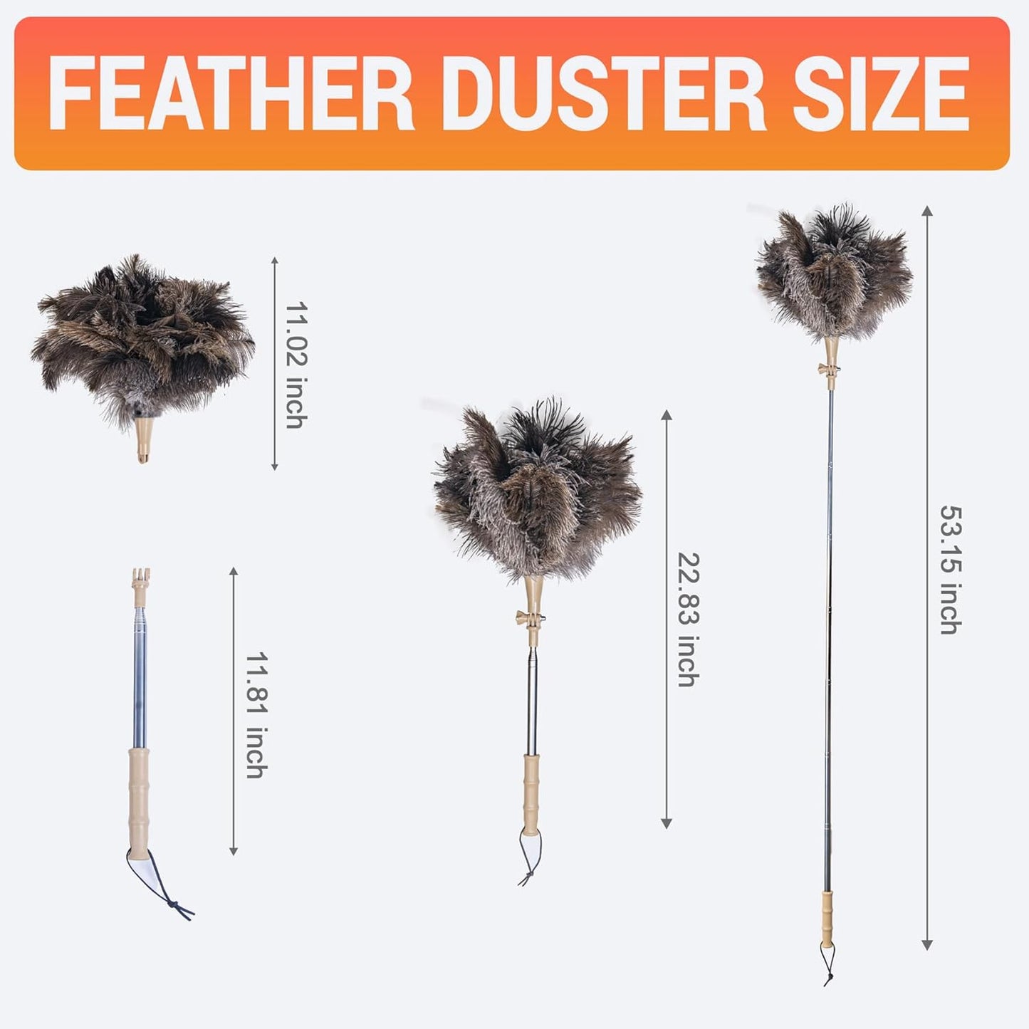 Extendable Ostrich Feather Duster, Natural Ostrich Feathers Long Handle Duster for Cleaning, 47” Soft & Fluffy Feather Duster for High Ceilings, Fans, Walls, Furniture, Home Dusting