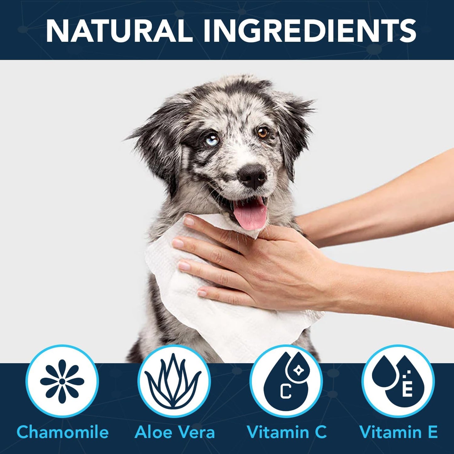 NOVEHA 120PCs XL Formulated Pet Wipes for Dogs & Cats - Safe for Facial & Finger Folds, Underarms, Groin, Hot Spots, Redness & Skin Relief, On-the-Go Size 5.5" x 7"