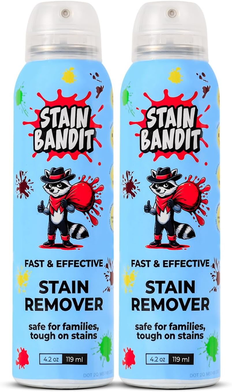 Stain Remover Spray | Non-Toxic Stain Remover Family Safe Formula | Bag-On-Valve 360° Continuous Spray Bottle | Cleaner for Clothes, Upholstery, Carpet & Car Seats 4.2 Oz, (Pack of 1)