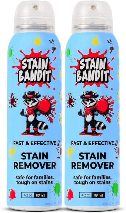 Stain Remover Spray | Non-Toxic Stain Remover Family Safe Formula | Bag-On-Valve 360° Continuous Spray Bottle | Cleaner for Clothes, Upholstery, Carpet & Car Seats 4.2 Oz, (Pack of 1)