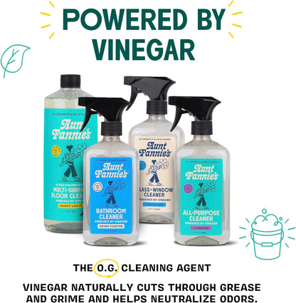 Aunt Fannie's Natural Cleaning Vinegar Wipes, Multipurpose Surface Cleaner, Eucalyptus Scent, 35 Count (Pack of 1)