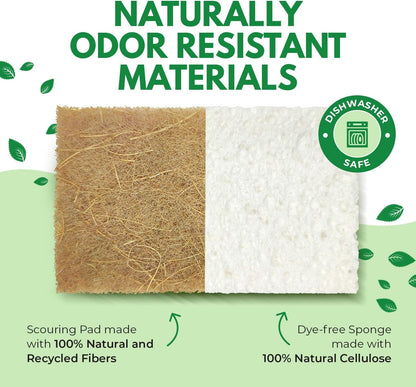 AIRNEX Biodegradable Natural Kitchen Sponges Pack of 6 - Cellulose and Coconut Walnut Scrubber Sponge - Eco Friendly Sponges for Dishes
