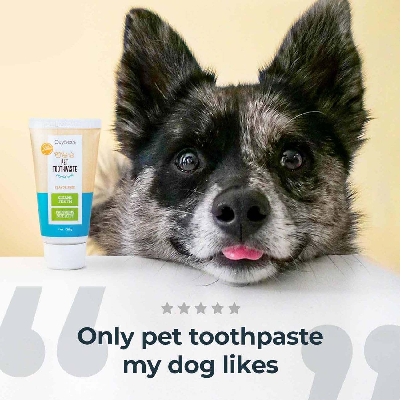 Oxyfresh Professional Cat & Dog Toothpaste, Teeth Cleaning Gel for Plaque, Tartar & Bad Breath, Vet-Approved Pet Dental Care, 4 oz