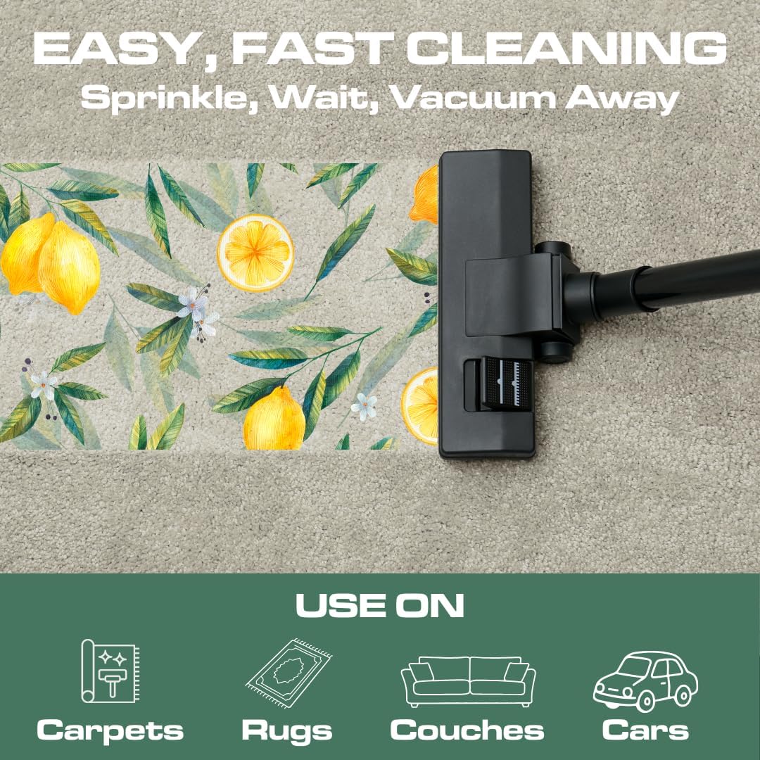 Ripclean Carpet Deodorizer & Freshener Cleaning Powder, Odor Eliminator for Strong Odors & Homes w/Pets, Safe around Kids & Pets, Use on Carpet, Rugs, Upholstery & More (16 Ounce, Lemon)