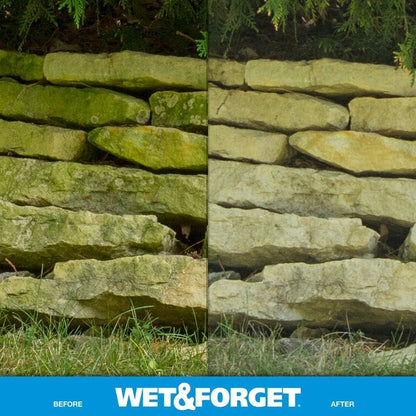 Wet & Forget Moss, Mold, Mildew, & Algae Stain Remover Multi-Surface Outdoor Cleaner Concentrate, Original, 128 Fluid Ounces