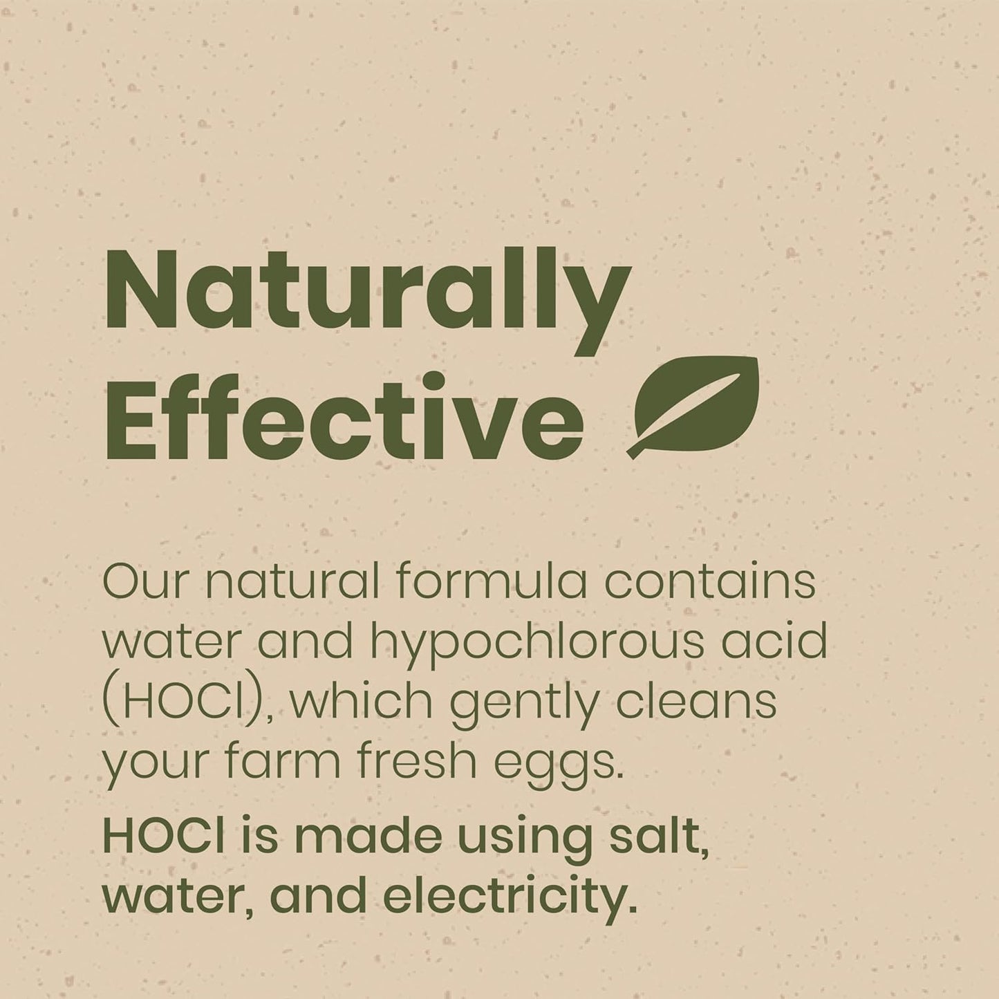 Clean Republic Good Salt Pet Fresh Nest Egg Wash Spray, Natural Cleaner for Freshly Laid Eggs, Made in the USA, 32 Ounce Bottle