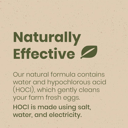 Clean Republic Good Salt Pet Fresh Nest Egg Wash Spray, Natural Cleaner for Freshly Laid Eggs, Made in the USA, 32 Ounce Bottle