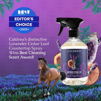 Caldrea Multi-surface CounterTop Spray Cleaner, Made With Vegetable Protein Extract, Basil Blue Sage, 16 Fl Oz