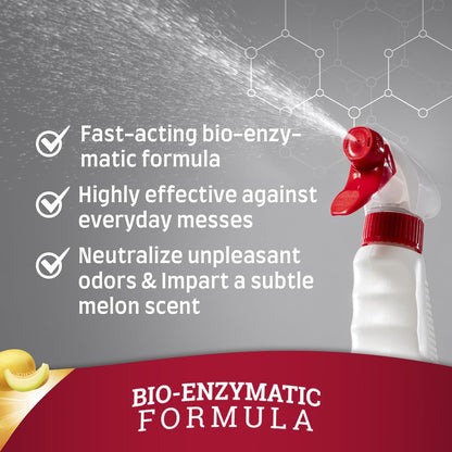 Nature's Miracle Stain and Odor Remover, Spot Stain and Pet Odor Eliminator, Enzymatic Formula, 32 Ounce Spray