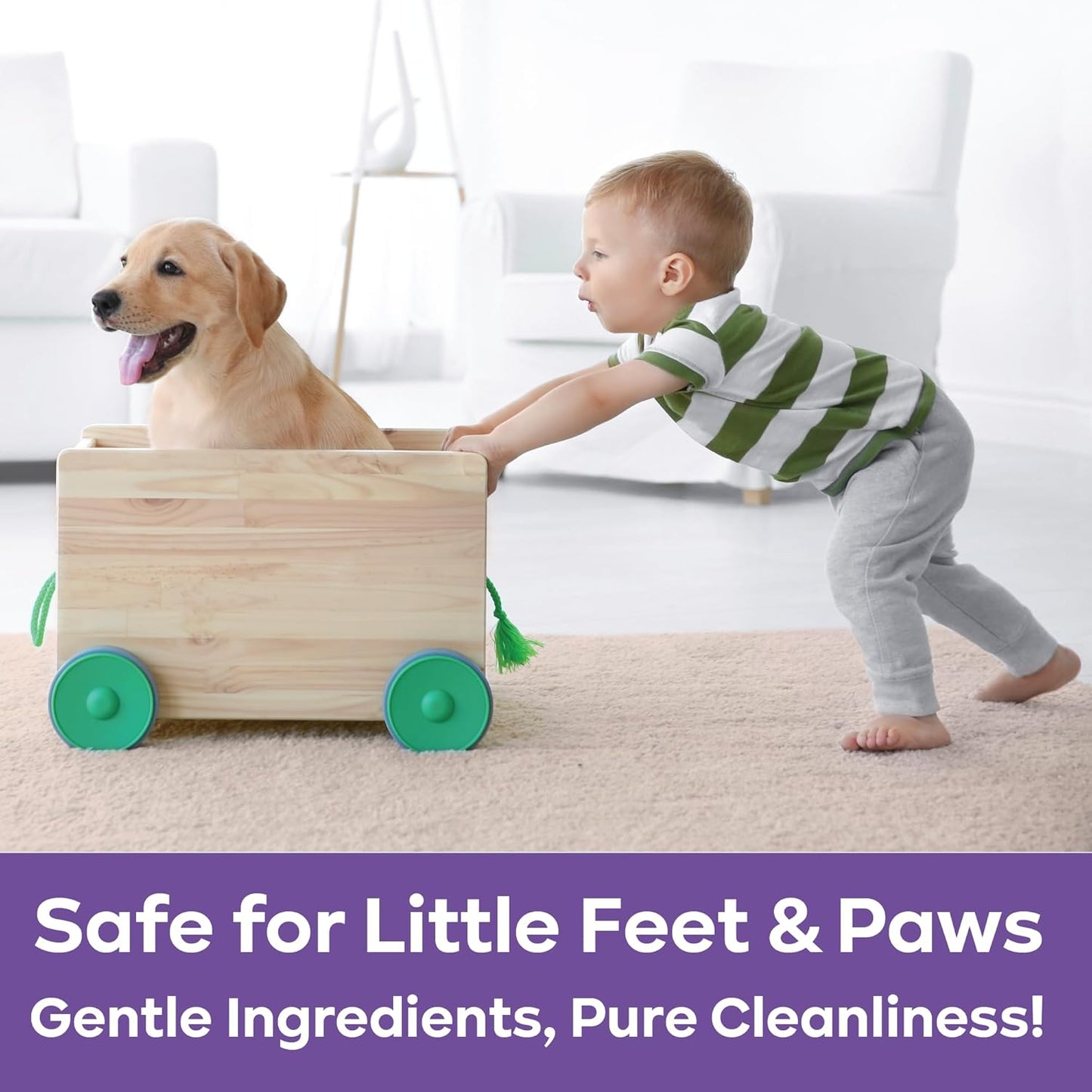 PURPUR Carpet Freshener & Deodorizer Powder | Pet Fresh Odor Eliminator for Carpets, Rugs, and Upholstery | Safe for Pets & Kids | Natural Lavender & Orange Scent | Bundle