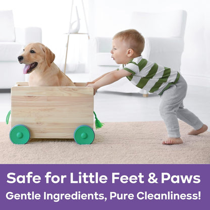 PURPUR Carpet Freshener & Deodorizer Powder | Pet Fresh Odor Eliminator for Carpets, Rugs, and Upholstery | Safe for Pets & Kids | Natural Lavender & Orange Scent | Bundle