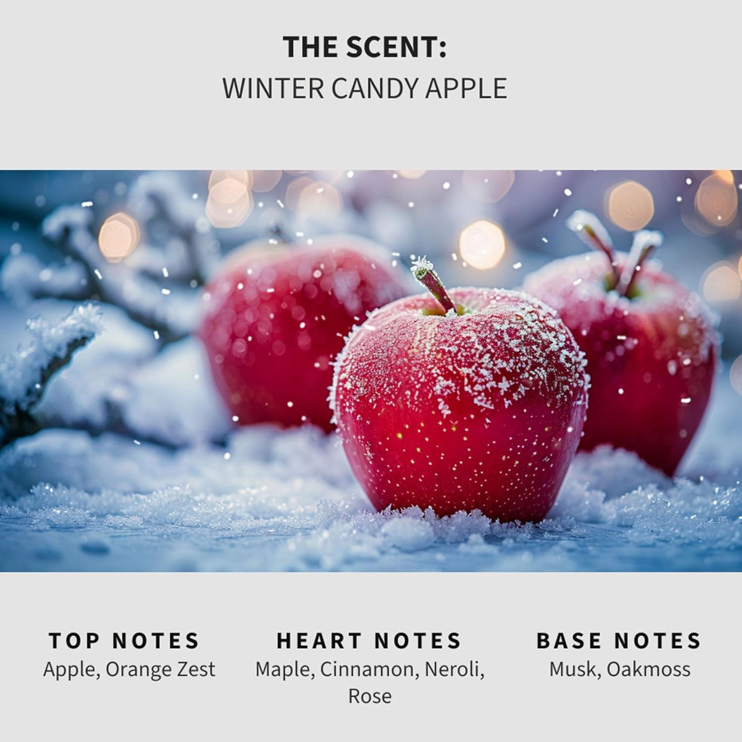 Lapew Santal Scented Mop Soap - Luxury Floor Cleaner Concentrate for Mopping Tile, Laminate, Vinyl & Hardwood | Streak-Free, Low-Foam | 36 oz - Colors B