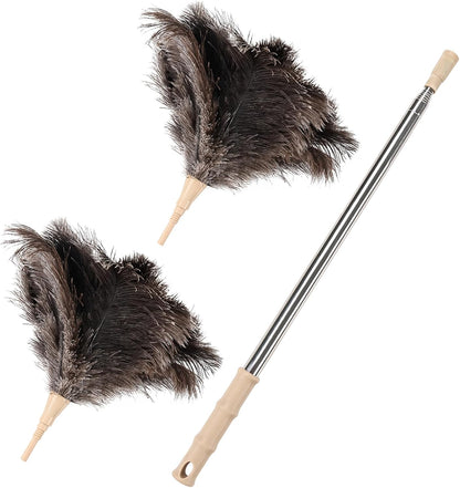 Ostrich Feather Duster 12 Inch Handheld Duster Supplies, Wooden Handle Feather Duster for Cleaning Keyboard Home Car Office (Champagne)