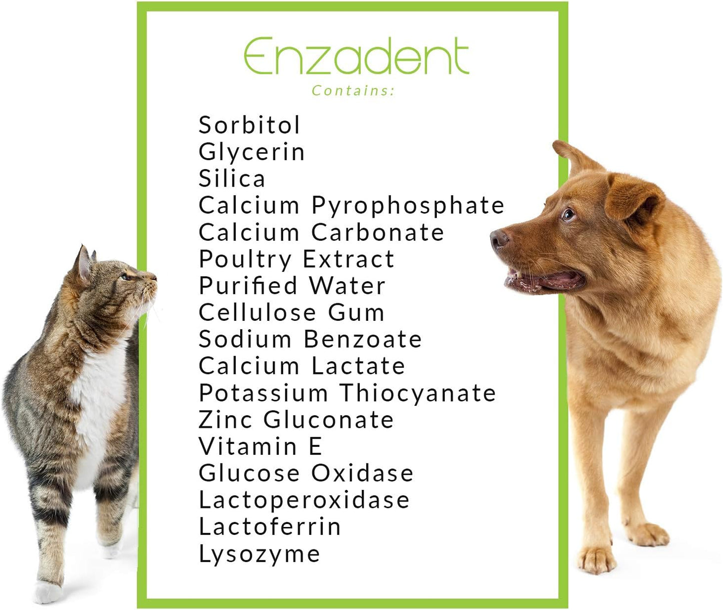 Vetoquinol Enzadent Enzymatic Toothpaste for Cats & Dogs – 3.2 oz, Poultry Flavor – Triple Enzyme Formula for Healthy Teeth & Gums – Oral Dental Care: Removes Plaque, Polishes Teeth & Freshens Breath