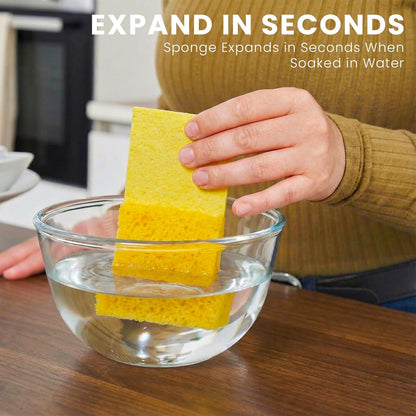 Metflavor Compressed Kitchen Sponges, 12 Count, Thick Non-Scratch Cellulose Dish Sponges, Biodegradable & Compostable, Pop-up Cleaning Sponge, 5" x 3" x 1"