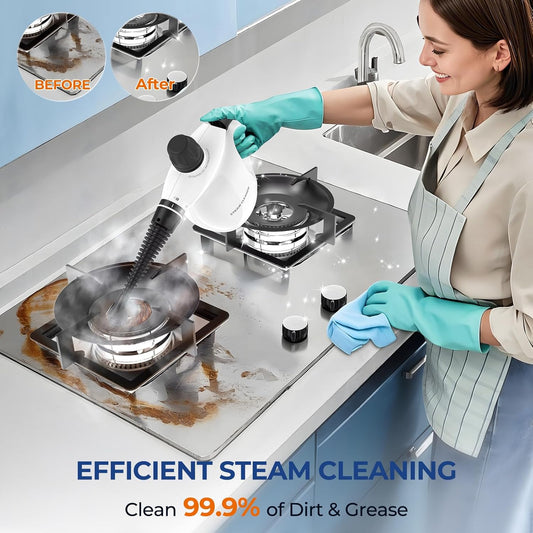 Steam Cleaner, Pressurized Handheld 13pcs Multi-Purpose Natural Deep Cleaning Steamer, Portable Steamer for Cleaning Home, Grout, Kitchen, Car, Window, Upholstery, Bathroom and Clothes, Gray