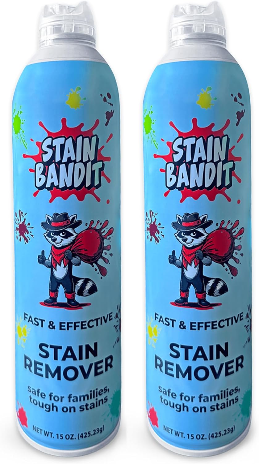 Stain Remover Spray | Non-Toxic Stain Remover Family Safe Formula | Bag-On-Valve 360° Continuous Spray Bottle | Cleaner for Clothes, Upholstery, Carpet & Car Seats 4.2 Oz, (Pack of 1)