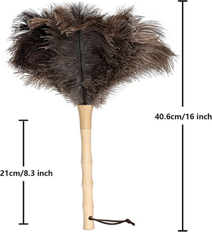 Retractable Ostrich Feather Duster for Cleaning, Fluffy and Natural Feather Duster with Retractable Handle， Reusable Eco-Friendly Handheld Cleaning Supplies (15 inch)