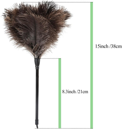 Ostrich Feather Duster 12 Inch Handheld Duster Supplies, Wooden Handle Feather Duster for Cleaning Keyboard Home Car Office (Champagne)