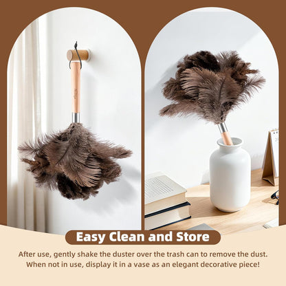 Extendable Ostrich Feather Duster with 19-49 inch Rotatable Stainless Steel Pole, Natural Feather Duster for Ceiling Fan Cobweb Dusting, Reusable Flexible Cleaning Duster(Include 1 Replacement Heads)