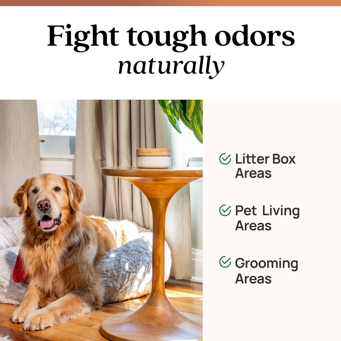 Azuna Pet Odor Eliminator for Strong Odor Gel | Plant Powered Australian Tea Tree Oil | Dog and Cat Room Deodorizer | Child and Pet Safe Air Fresheners for home | Cedarwood Scent | 8oz Pod
