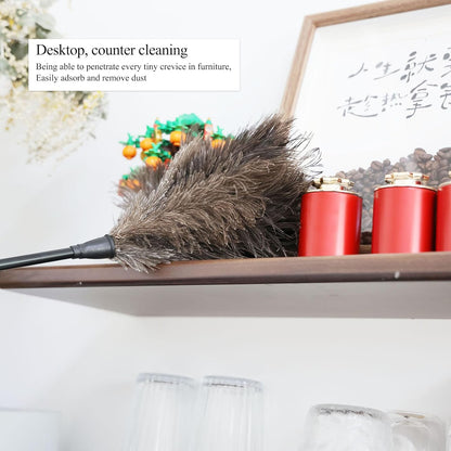 Ostrich Feather Duster 12 Inch Handheld Duster Supplies, Wooden Handle Feather Duster for Cleaning Keyboard Home Car Office (Champagne)