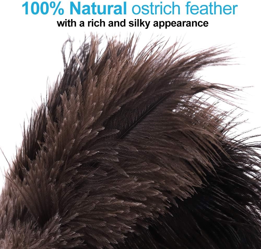 Midoneat Natural Black Ostrich Feather Duster,2 Packs,Car Duster Interior/Exterior Cleaner, Cleaning for Blinds Kitchen Keyboard Office, Smart and Soft and Fluffy (Black)