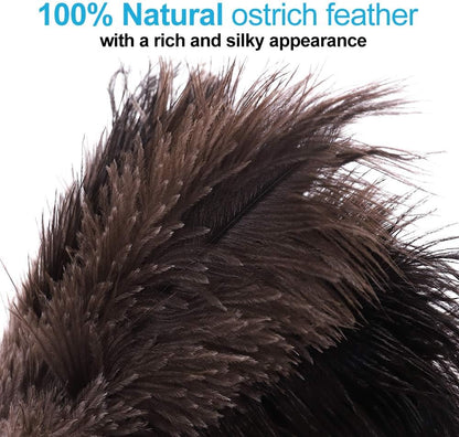 Midoneat Natural Black Ostrich Feather Duster,2 Packs,Car Duster Interior/Exterior Cleaner, Cleaning for Blinds Kitchen Keyboard Office, Smart and Soft and Fluffy (Black)