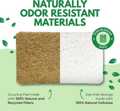 AIRNEX Biodegradable Natural Kitchen Sponges Pack of 6 - Cellulose and Coconut Walnut Scrubber Sponge - Eco Friendly Sponges for Dishes