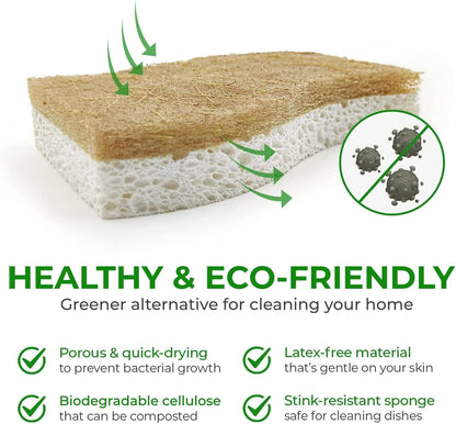 AIRNEX Natural Kitchen Sponges (12 Pack) - Biodegradable Cellulose & Coconut Scrubber Dish Sponges for Kitchen - Eco-Friendly, Non Scratch, Compostable, Non Toxic S-Shaped Natural Sponges for Dishes