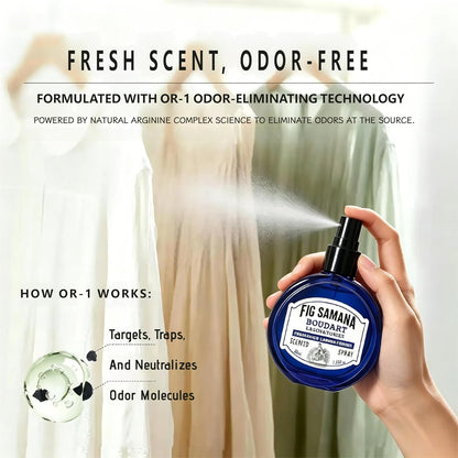 Travel Fabric Refresher Spray – Odor Eliminator & Wrinkle Release, TSA Approved 40ml for Gym Hotel Office Clothes Sofa Curtains, Apple Tree Scent – Boudart Labs