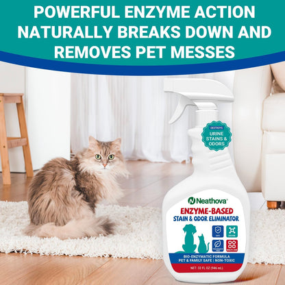 Stain & Strong Odor Eliminator, Enzyme Cleaner, Pet Odor Eliminator for Home - Carpet Stain Remover for Cats & Dog Pee - Urine Destroyer - Carpet Cleaner Spray Clear (Unscented)