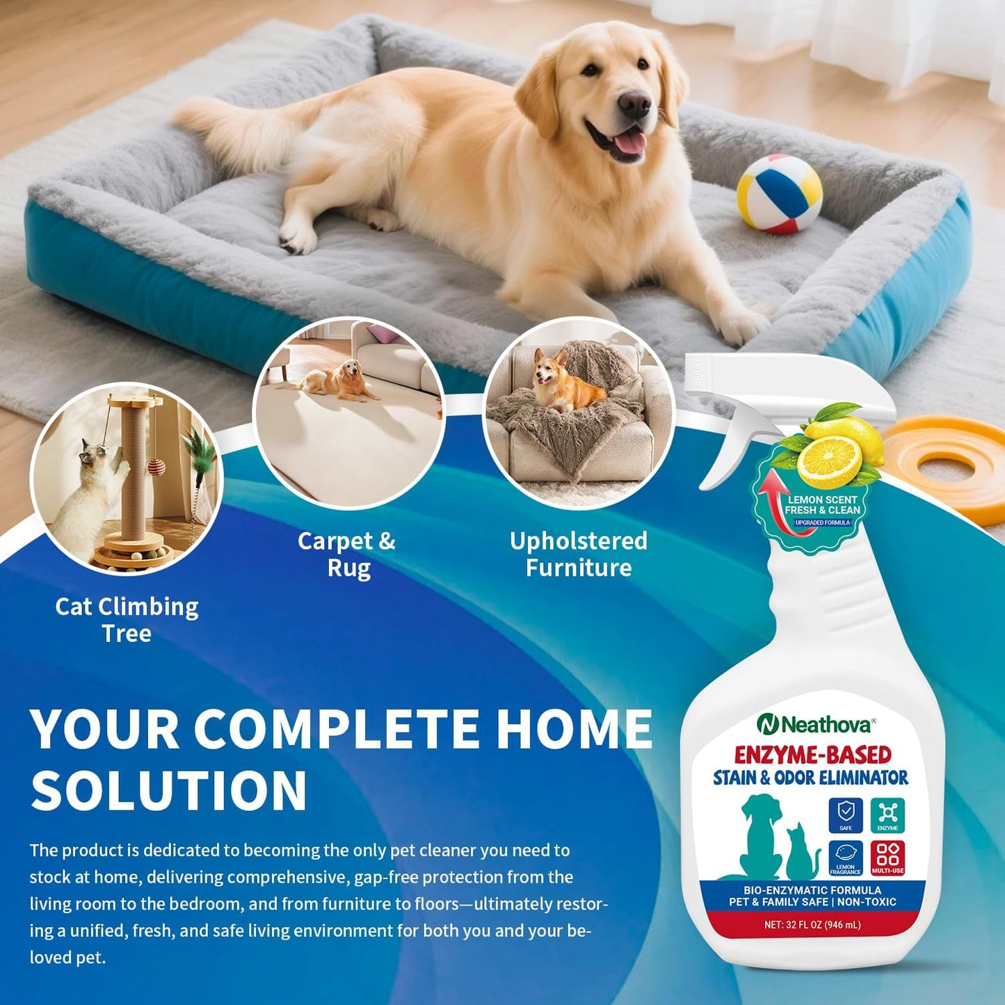 Stain & Strong Odor Eliminator, Enzyme Cleaner, Pet Odor Eliminator for Home - Carpet Stain Remover for Cats & Dog Pee - Urine Destroyer - Carpet Cleaner Spray Clear (Unscented)