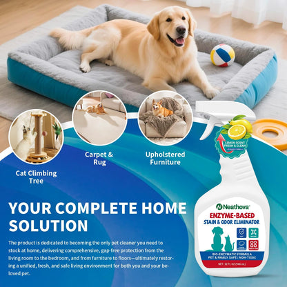 Stain & Strong Odor Eliminator, Enzyme Cleaner, Pet Odor Eliminator for Home - Carpet Stain Remover for Cats & Dog Pee - Urine Destroyer - Carpet Cleaner Spray Clear (Unscented)