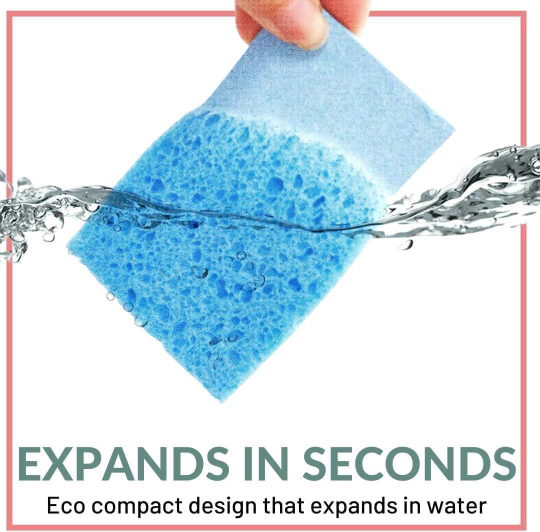 bioGo 12 Pack Natural Biodegradable Kitchen Sponges - Eco-Friendly, Compostable, Cellulose Dish - Compostable - Biodegradable - Cellulose Sponge