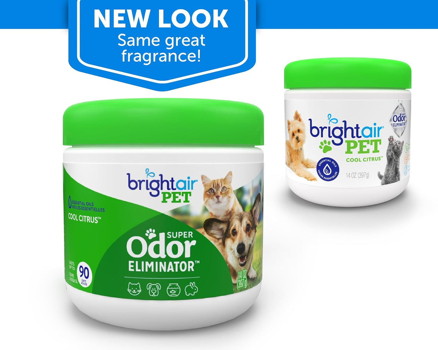 Bright Air 14 oz. Super Odor Eliminator, For Medium-Size Spaces, Cool & Clean Scent, Case of 6,Air Freshener, Natural Essential Oils, Lasts Up to 90 Days Each