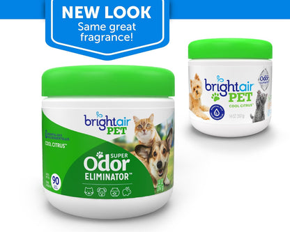 Bright Air 14 oz. Super Odor Eliminator, For Medium-Size Spaces, Cool & Clean Scent, Case of 6,Air Freshener, Natural Essential Oils, Lasts Up to 90 Days Each