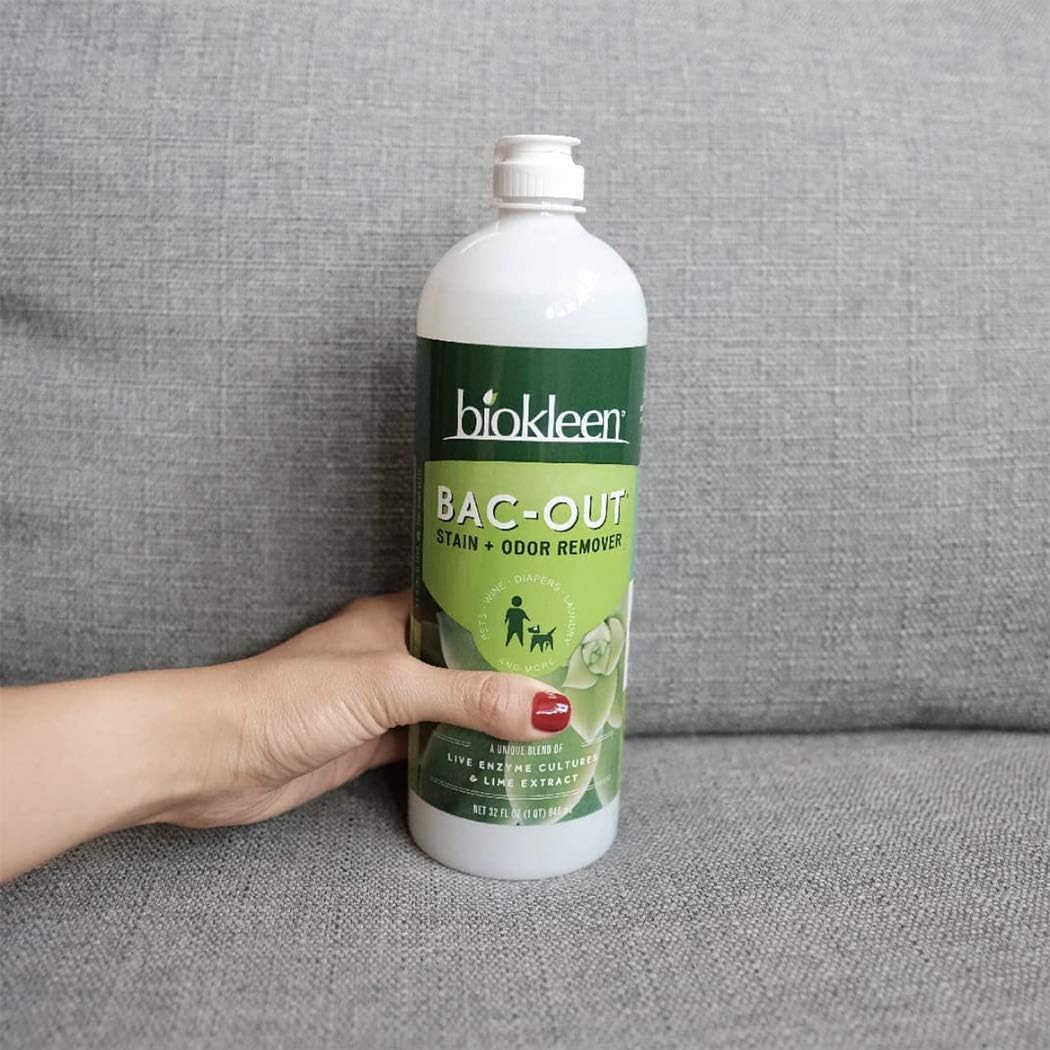 Biokleen Bac-Out Stain+Odor Remover, Destroys Stains & Odors Safely, for Pet Urine, Laundry, Diapers, Wine, Carpets, & More, Eco-Friendly, Non-Toxic, Plant-Based, 32 Ounces