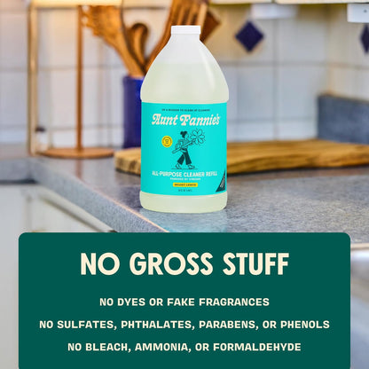 Aunt Fannie's All Purpose Household Cleaner, Multi-surface Spray, Powered by Vinegar for Kitchen, Bath, Windows and Countertops, Eucalyptus Scent (Pack of 1)