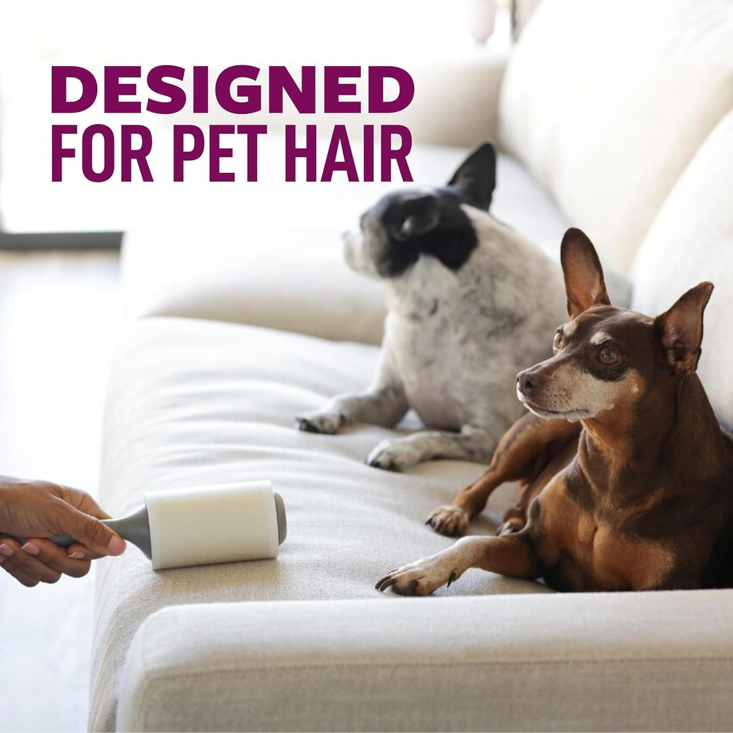 Scotch-Brite Pet Hair Pickup Extra Sticky Lint Roller, Designed for Removing Fur + Fluff on Couches, Clothes, Dog and Cat Beds, & More, 1 Pack, 95 Easy-Tear Adhesive Sheets Total