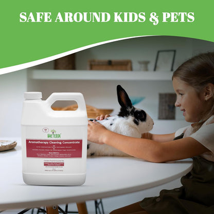 Naeterra Aromatherapy Cleaning Concentrate 64 oz - Natural All Purpose Multi Surface Cleaner - Plant Based Essential Oil Formula for Floors, Glass & Counters - Makes 24 Gallons - Pet Safe & Non Toxic