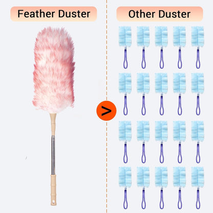 Cedenoo Lambswool Duster Extendable 22–55 Inch Natural Wool Duster with Flexible Head for Ceilings Furniture Blinds Electronics Washable Reusable