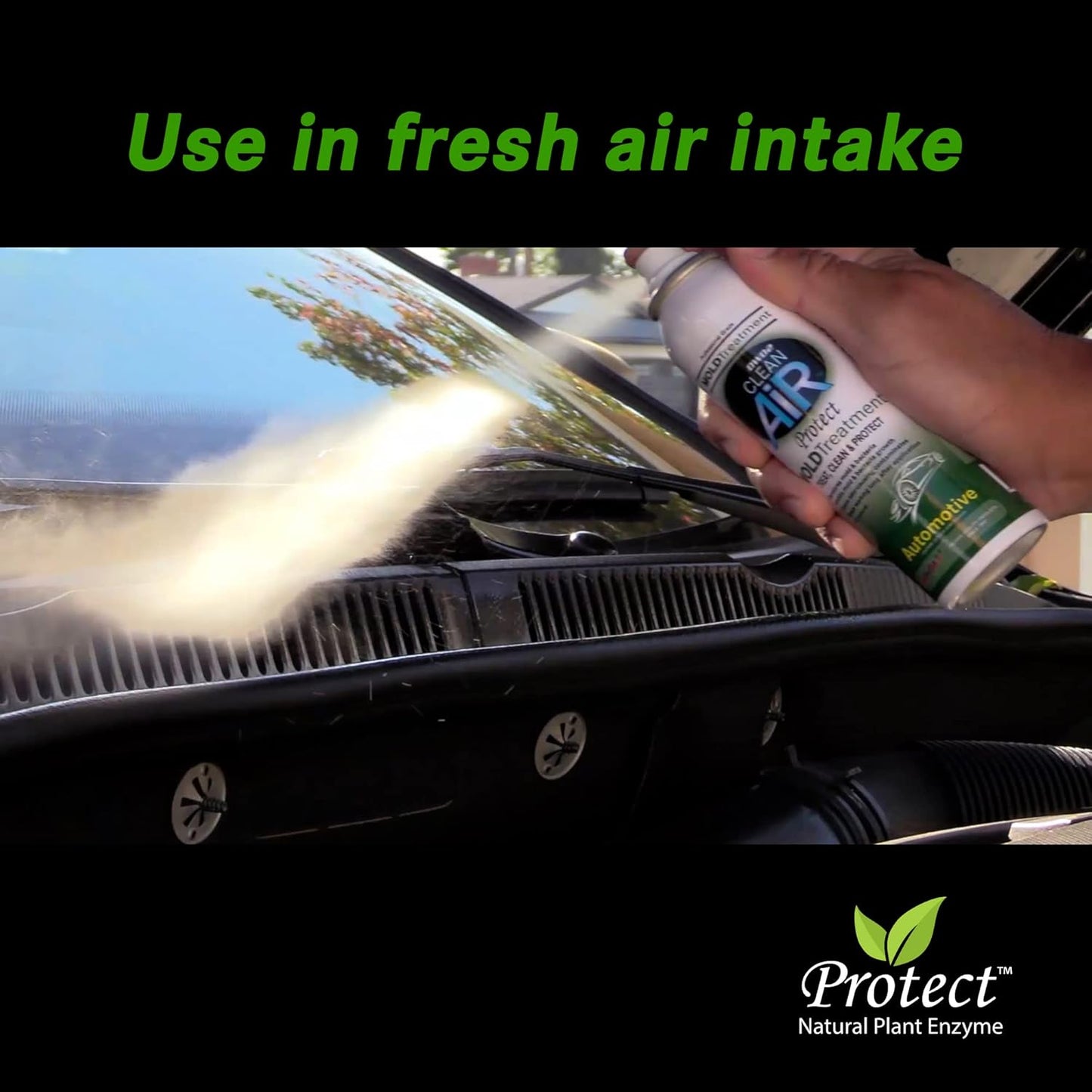 DWD2 Protect™ Automotive Mold Treatment - Revitalize Your Car's Interior The Green Automotive Mold Treatment Solution. Say Goodbye to Unpleasant Odors and Hello to a Fresh and Protected Cabin (FOGGER)